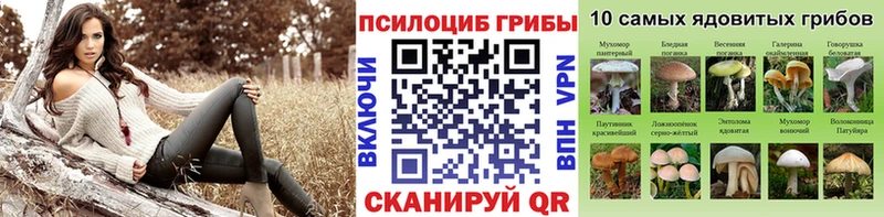 Псилоцибиновые грибы Psilocybine cubensis  Нахабино 