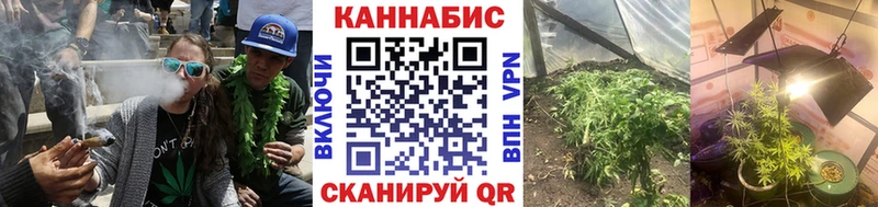 где продают   Нахабино  Бошки Шишки гибрид 